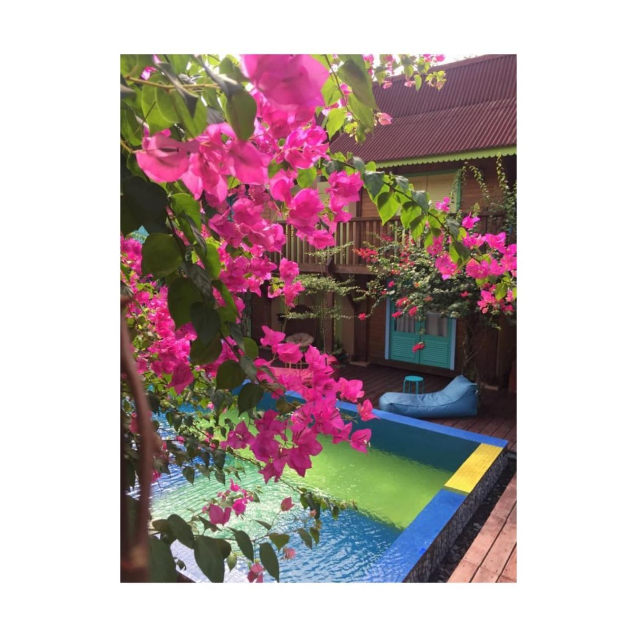 Bleu Verde, The Secret Garden - Turtle Point Beach Τζίλι Τραγουανγκάν Δωμάτιο φωτογραφία